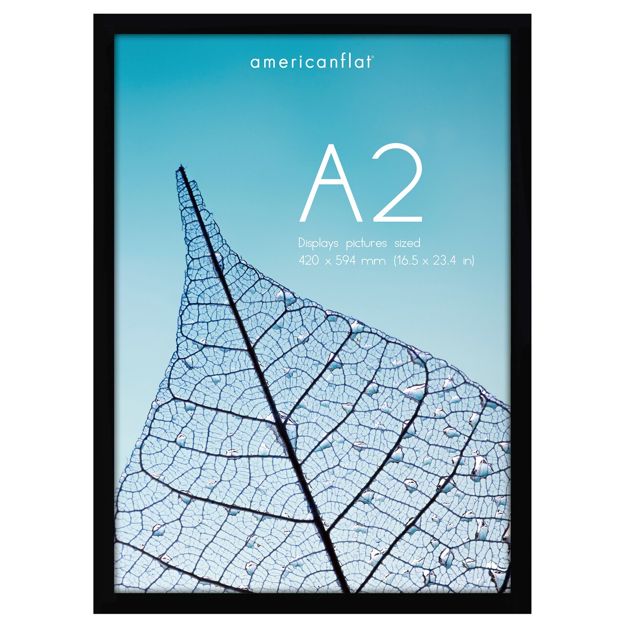 Americanflat A2 A3 A4 A5 Poster Frame - Picture Frame to Display Posters - Ideal for Documents and Artwork - Plexiglass Cover - Adjustable Hanging Hardware - Includes Easel
